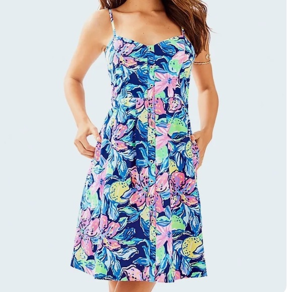 Lilly Pulitzer Dresses & Skirts - Lilly Pulitzer Easton Dress Nauti Blue Capris Soleil size 4 pockets